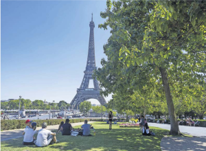 Paris trees.png